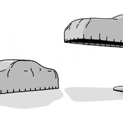 "Canopy" von Leo Schatzl