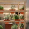 Honigraum Schwarm