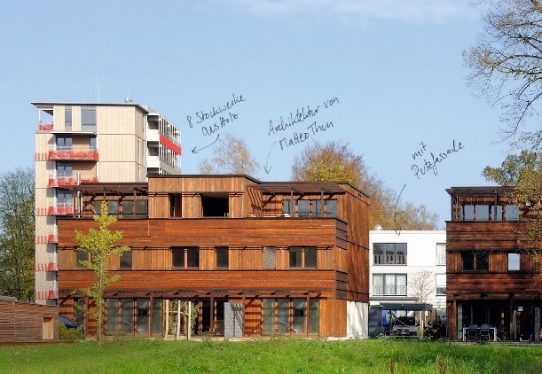 City of Wood.jpg