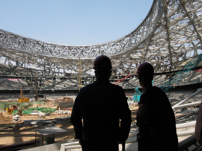 Bird's Nest