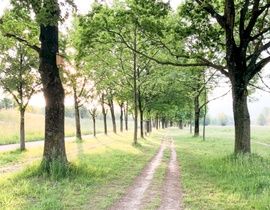 öffentlicher aum-750.jpg