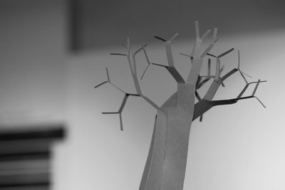 Baum-Raum