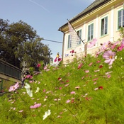 Stadt Gärten Parks Spiel Plätze in Klagenfurt