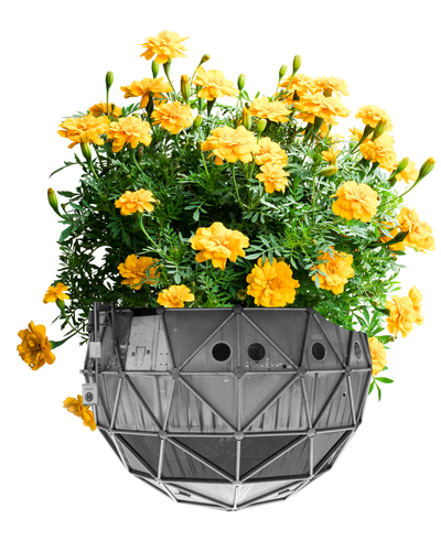 Originalfoto: Liftstation © Andrew Phelps / Bearbeitung: gelbe Chrysanthemen ergänzt Originalfoto: Liftstation © Andrew Phelps / Bearbeitung: gelbe Chrysanthemen ergänzt