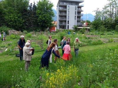 Wenn die Stengel Blüten tragen © aut