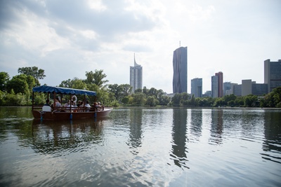 Donau-Tour: Ein Wasserhabitat © ÖGFA / AT19 / Matthias Ritschl