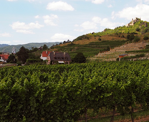 Gehspräch-Dürnstein-01