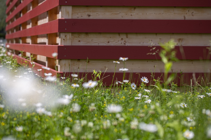 © Foto: Petra Rainer