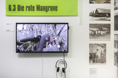 Ausstellung "Bildungsschock" im vai