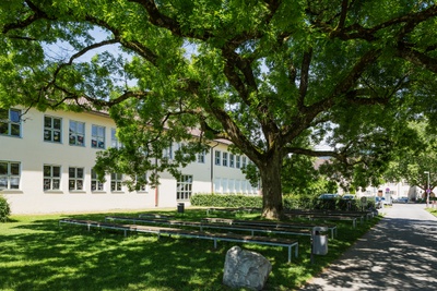 koselička Landschaftsarchitektur | Schule Rieden, Bregenz Vorkloster