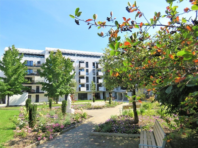 Gemeinschaftsgarten