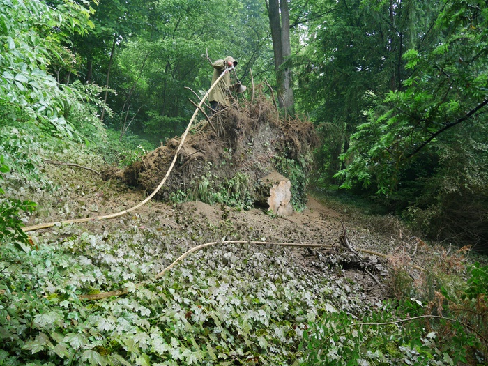 Wurzelraum