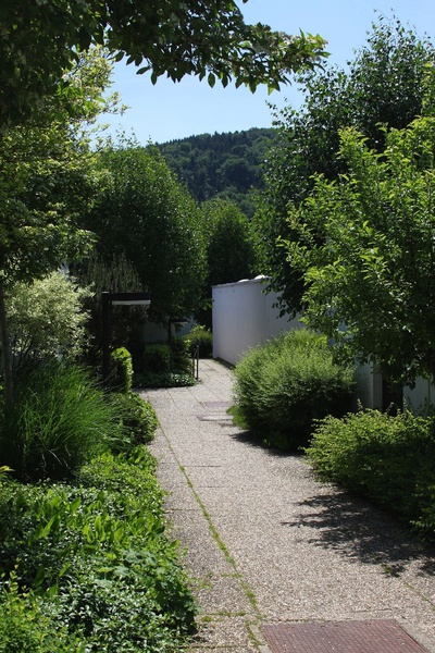 EXKURSION "Low Rise – High Density"