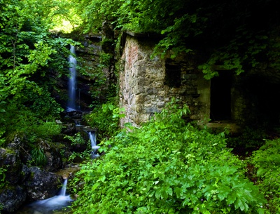 "Ecology of Ruins" von Jason Rhys Parry