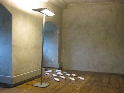 Architektur erfahren