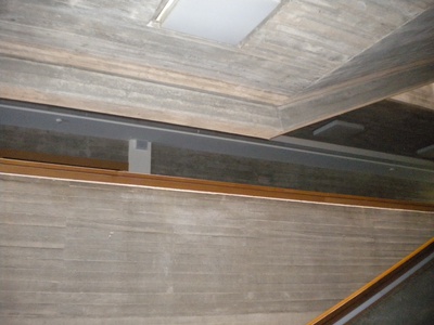 DSCN5154