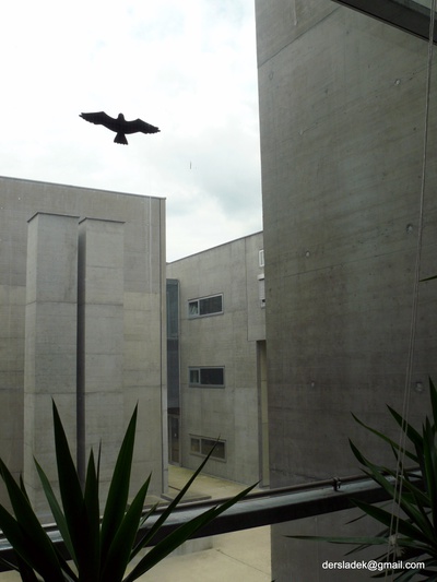 Inffeldgründe TU Graz, Riegler Riewe Architekten