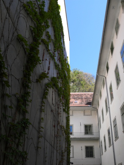 Häuser schaun 25.04.2012: Museum im Palais, Riegler Riewe Architekten