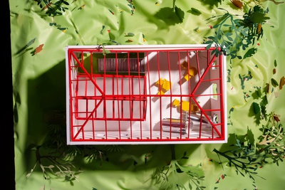 Projekt: Performative Dune / Continentale: Giulio Galasso, Natalia Voroshilova (Zürich, Mailand)