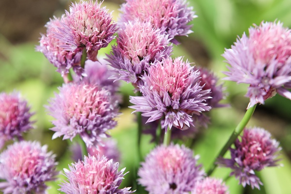 mitunsinstun, Foto: © cukrowicz nachbaur architekten, 2024