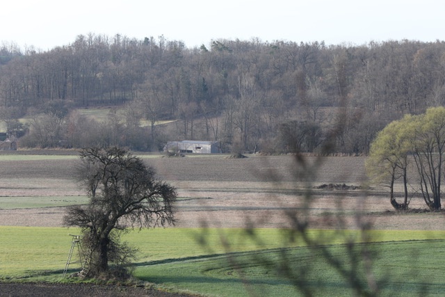 Wolfshof, Foto: © archipel architekten, 2024