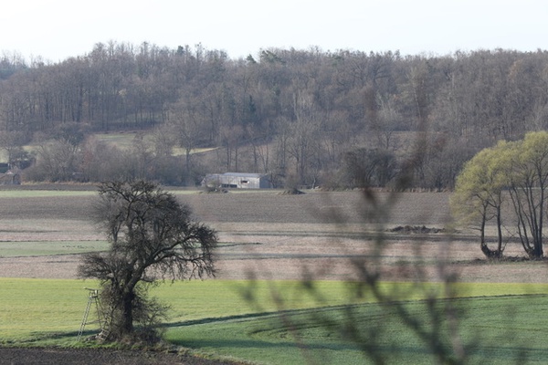 Wolfshof, Foto: © archipel architekten, 2024 Wolfshof, Foto: © archipel architekten, 2024