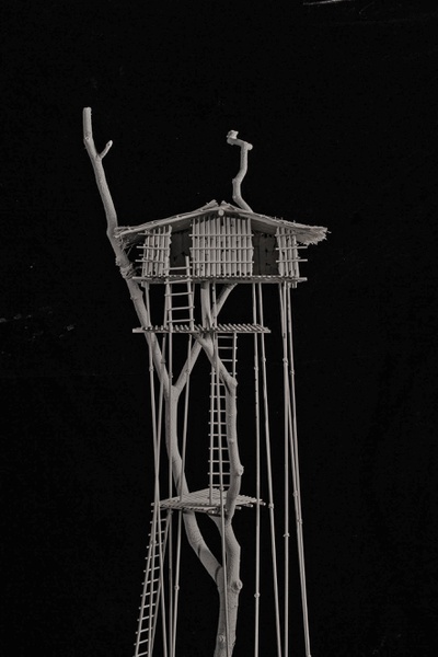 Architecture Without Architects, Korowai Tribe House