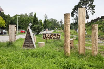 Insect City, Ivan Juarez