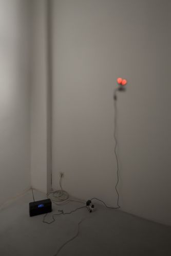 Blick in die Ausstellung "Rens Veltman: Infra und Ultra oder Colonise the Dark"