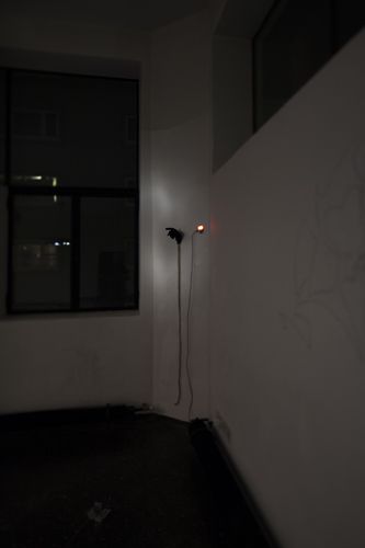 Blick in die Ausstellung "Rens Veltman: Infra und Ultra oder Colonise the Dark"