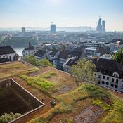 Flachdach_2021