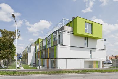 Wohnen im Grünen, Blick von der Straße | Hadler bis Hausdorf Architekten