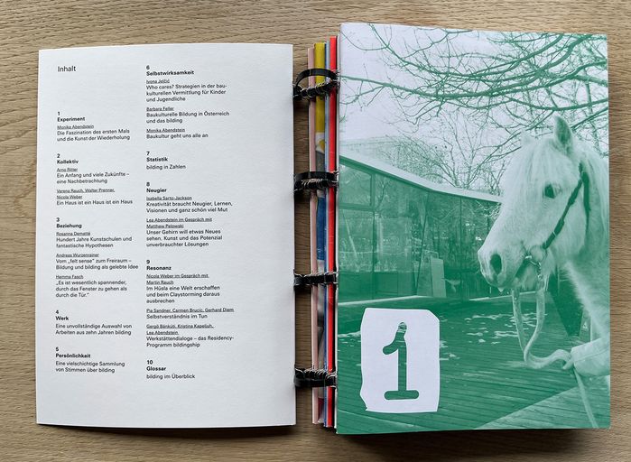 Publikation "Fantastische Hypothesen"