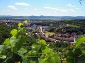 Blick von Krems-Rehberg ins Kremstal