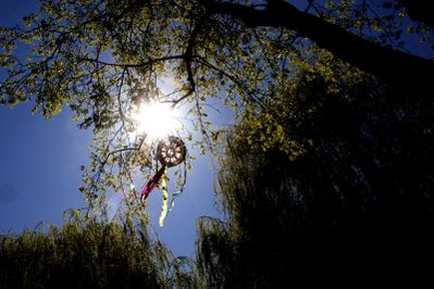 Shibor - Papierdrachenbauen