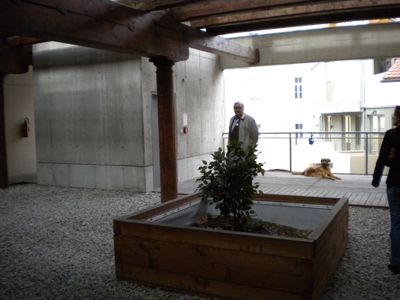 Ehemalige Stadtmühle von Gangoly & Kristiner Architekten