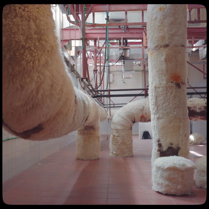 Filmstill Installation by Adrian Pepe in an Old Slaughterhouse