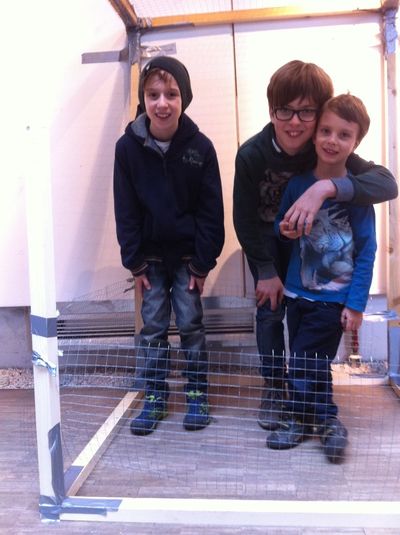 Raum schafft STADT-KULTUR