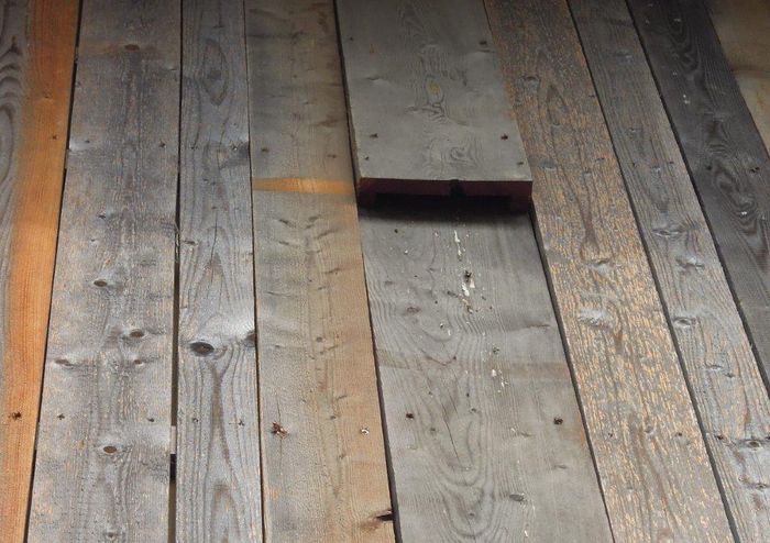 Fledermausnistkasten, bewohnt 2013