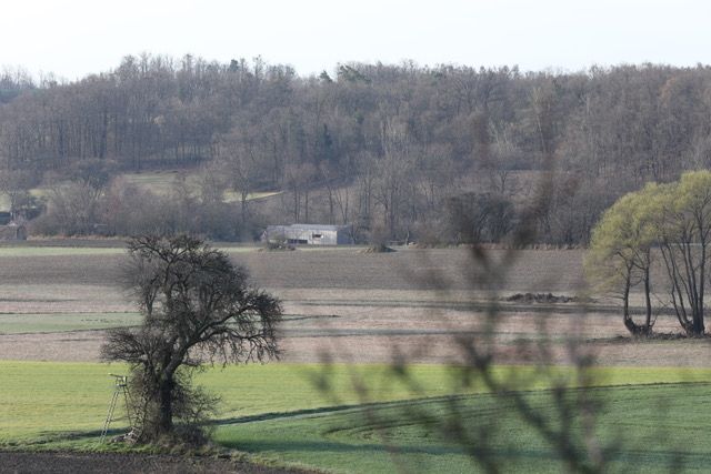 Wolfshof, Foto: © archipel architekten, 2024