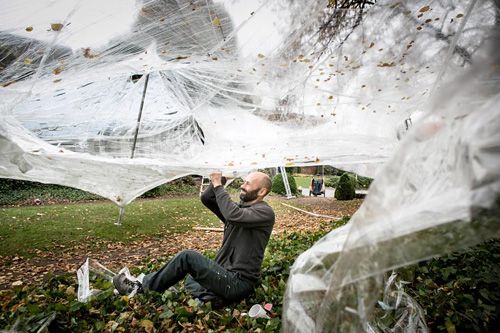 das DING im bilding – numen est omen