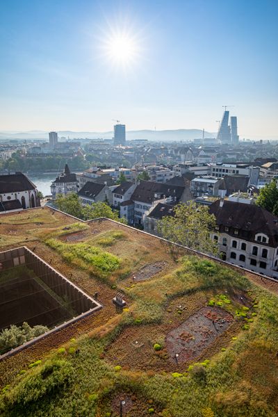 Flachdach_2021