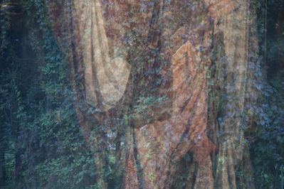 Artist in Residence 2015