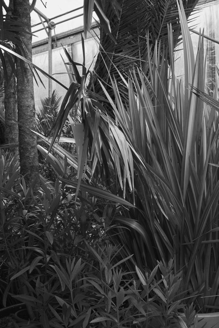 Im Archiv. Wo ist das Stadtbegrün im Winter?