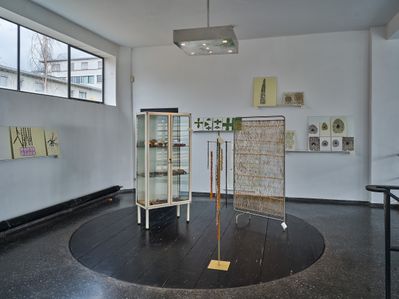 Blick in die Ausstellung "Carmen Müller: Von Gärten, Pflanzen und Menschen".