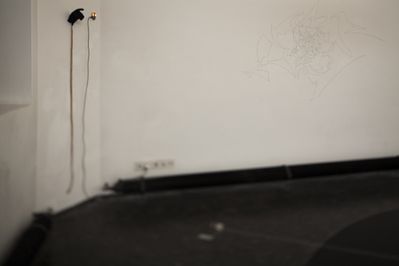 Blick in die Ausstellung "Rens Veltman: Infra und Ultra oder Colonise the Dark"