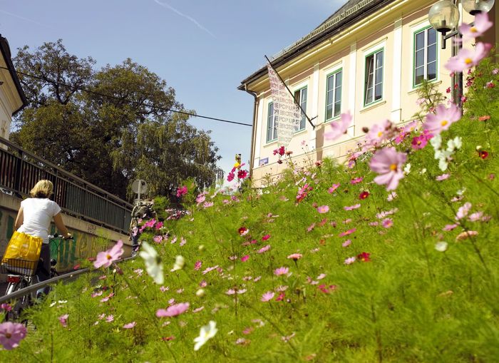 Stadt Gärten Parks Spiel Plätze in Klagenfurt