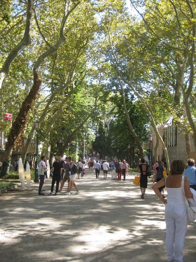 Biennale di Venezia 2012