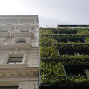 Hotel Gilbert & Flora am Museumsquartier in Wien
