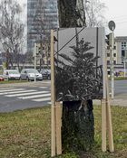 Im Archiv. Wo ist das Stadtbegrün im Winter?